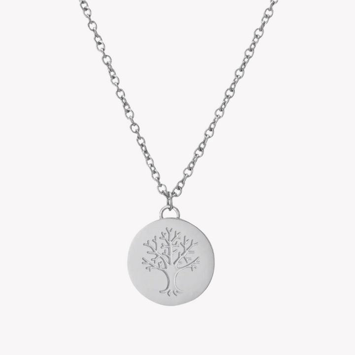 ZINK Women's Silver Stainless Steel Necklace | ZFNL008S