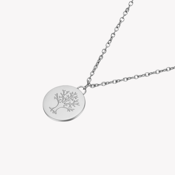 ZINK Women's Silver Stainless Steel Necklace | ZFNL008S